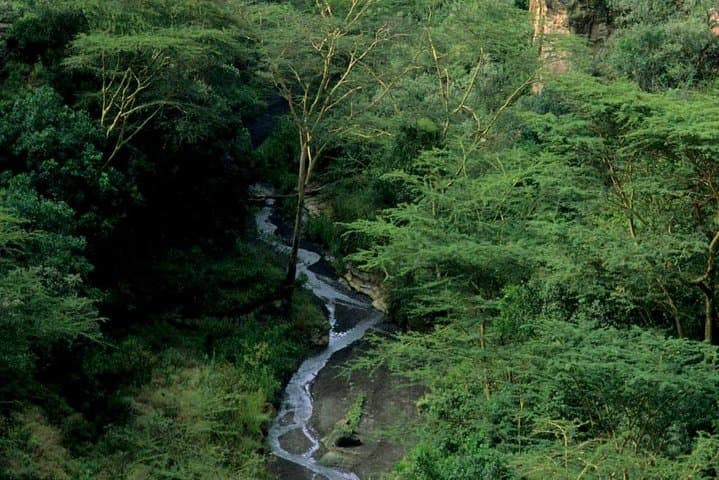 Hells Gate and Lake Naivasha Day Trip from Nairobi — Bike Through Rift Valley Gorges photo 3