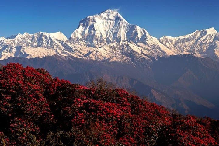 Poon Hill Trek: 3-Night Ghorepani Sunrise Trek from Pokhara photo 4