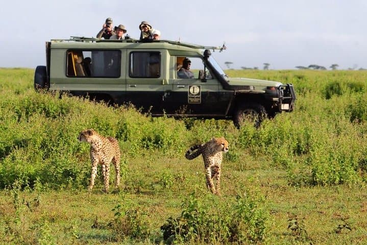 4-Day Masai Mara & Lake Nakuru Camping Safari — Wildebeest, Rhinos & Flamingos photo 5