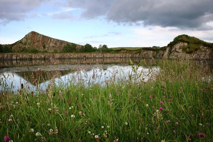 Full-Day Hadrian's Wall Guided Walk: Housesteads, Vindolanda & Cawfields photo 4