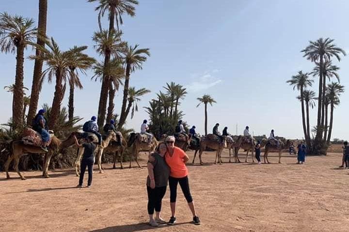 Marrakech Quad Biking and Camel Ride — Palmeraie Dromedary & Quad Adventure photo 2