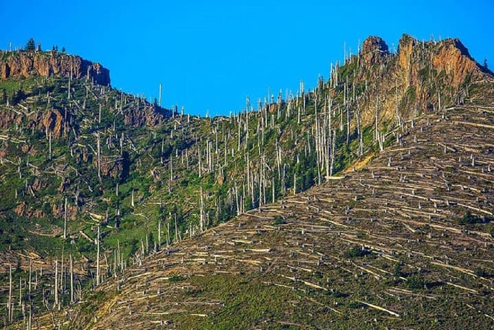Full-Day Mt. St. Helens Small-Group Tour from Seattle photo 6