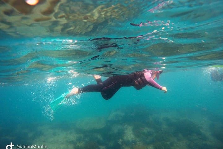 Snorkeling Cabo Pulmo: Explore the Living Coral Reef of the Sea of Cortez photo 3