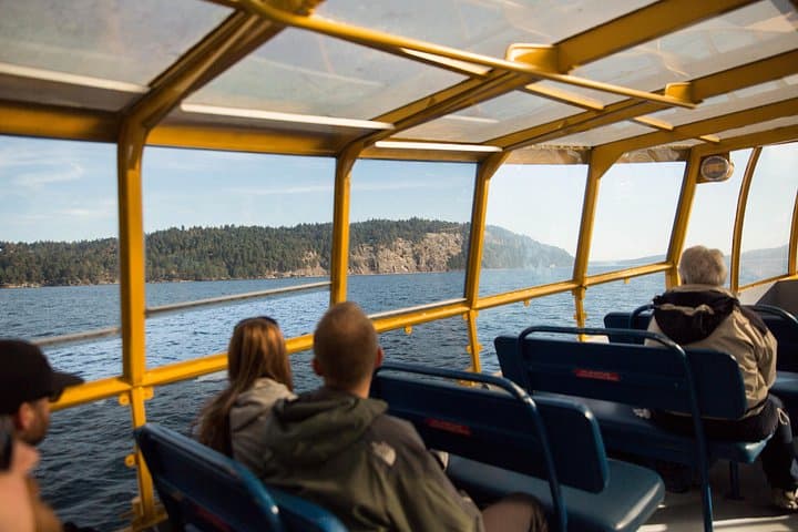 Whale Watching Tour from Vancouver: Orcas & Humpbacks in the Strait of Georgia photo 2
