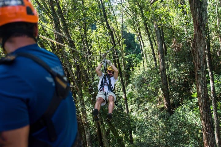 Big Island Kohala Canopy Zipline Adventure: Soar Above Hawaii’s North Kohala Forest photo 4