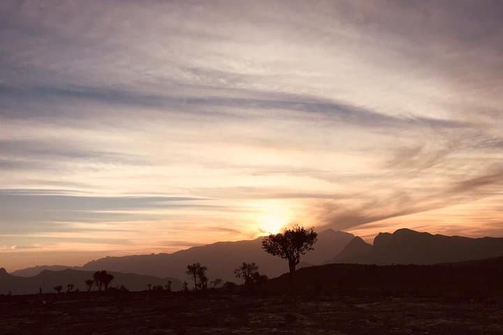 Five Days Across Northern Oman: Wadis, Deserts, Forts, and Turtles