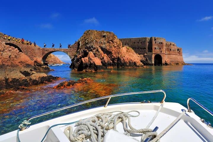 Berlenga Grande Day Trip: Glass-Bottom Boats, Forts & Atlantic Wilds from Lisbon photo 4