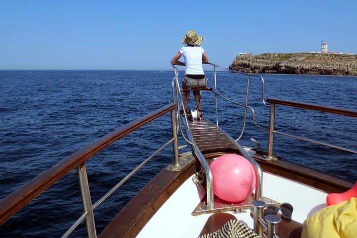 Berlenga Grande Day Trip: Glass-Bottom Boats, Forts & Atlantic Wilds from Lisbon photo 2