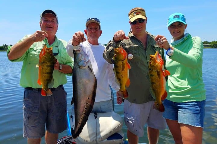 Peacock Bass Fishing Trip on the Lake Osborne Chain — West Palm Beach Guided Charter photo 2