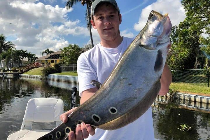 Peacock Bass Fishing Trip on the Lake Osborne Chain — West Palm Beach Guided Charter photo 6