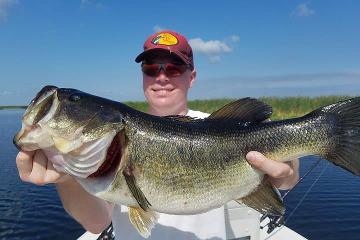 Lake Okeechobee Bass Fishing Trips From West Palm Beach photo 3