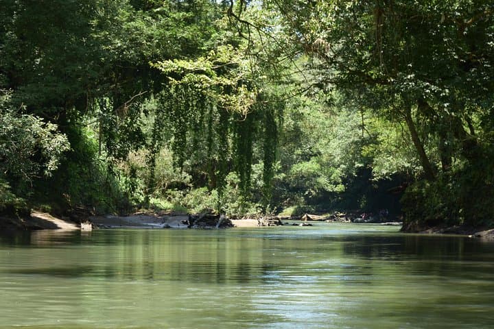 Safari Float on Peñas Blancas River: Wildlife Paddle Near La Fortuna photo 3