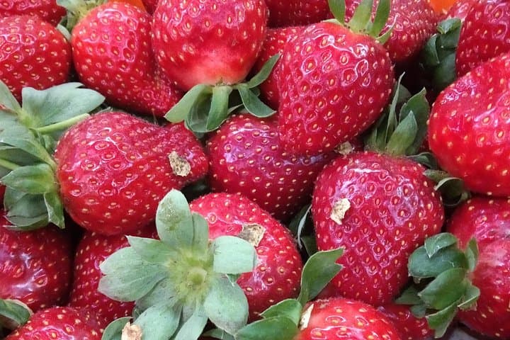 Cameron Highland Day Trip: Tea Plantations, Strawberry Picking & Waterfalls from Kuala Lumpur photo 1