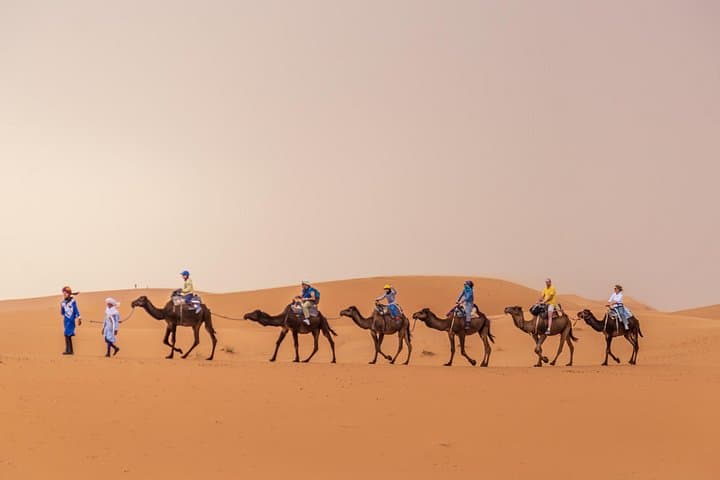 2-Day Shared Trip from Fes to Merzouga Desert: Camel Trek, Sand Dunes & Berber Camp photo 3