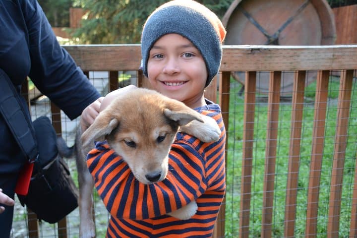 Musher's Camp and S'More Roasting in Dyea — Skagway Puppy Meet & Campfire Experience photo 6