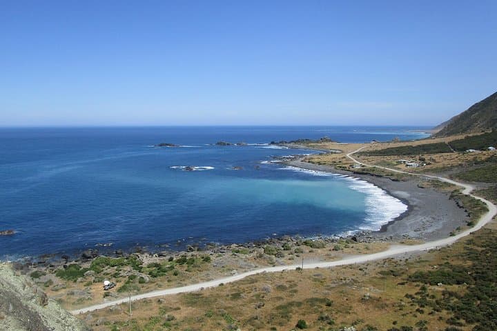 Coastal Drive from Martinborough to Cape Palliser: Wine, Seals & Lighthouse Views photo 6