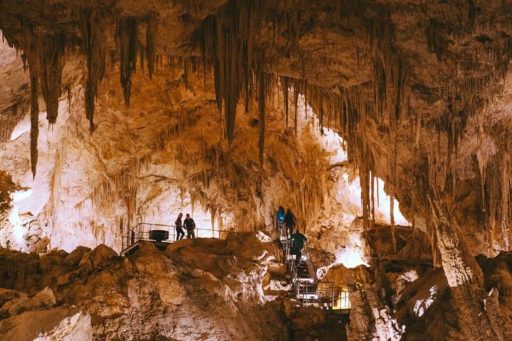 Mammoth Cave Self-Guided Audio Tour — Explore Margaret River's Karri Forest Cavern