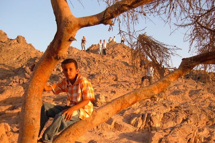 Sharm el-Sheikh Buggy Desert Safari: Sunset Off-Road Adventure with Bedouin Tea photo 4