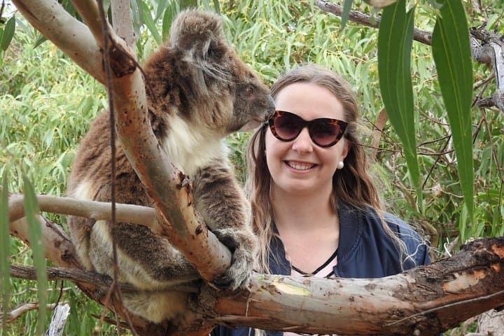 Port Lincoln Day Tour: Coastal Wildlife, Cliffs & Fresh Seafood photo 2