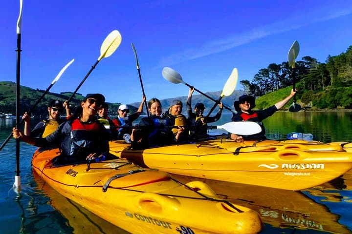 Akaroa Sea Kayak Safari — Paddle the Marine Reserve with Hector Dolphins