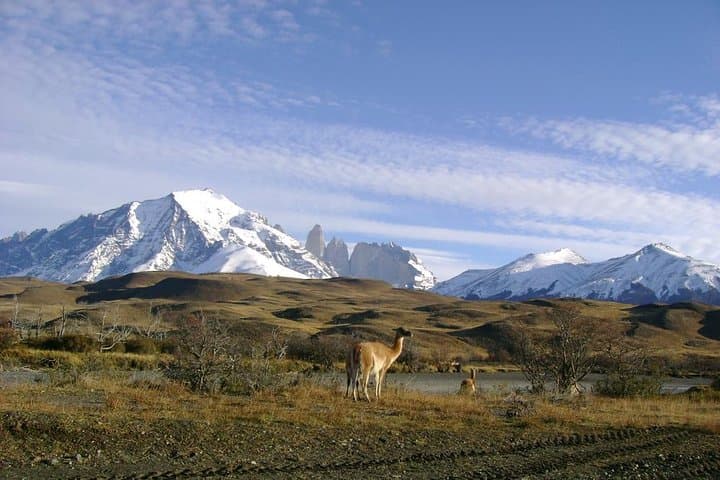 Full-Day Torres del Paine from Puerto Natales: Glacier Views, Lenga Forests & Wildlife photo 2