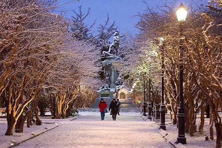 Punta Arenas Half-Day City Tour — Cerro de la Cruz, Plaza Muñoz Gamero & Local Museum