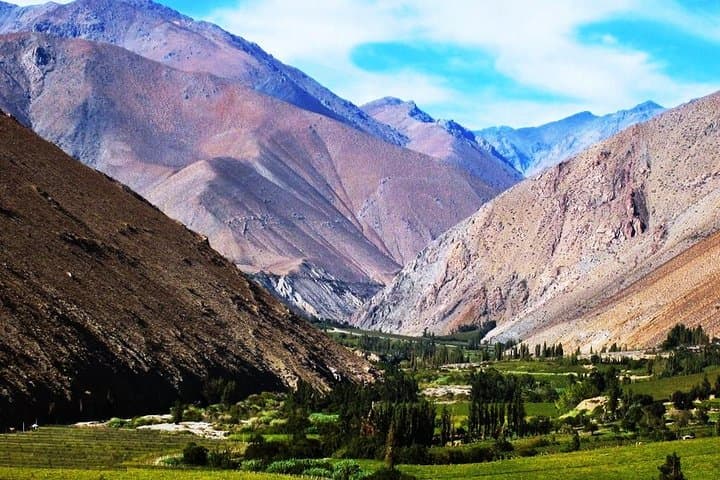Elqui Valley Day Tour from La Serena: Pisco Tasting & Vicuña Highlights