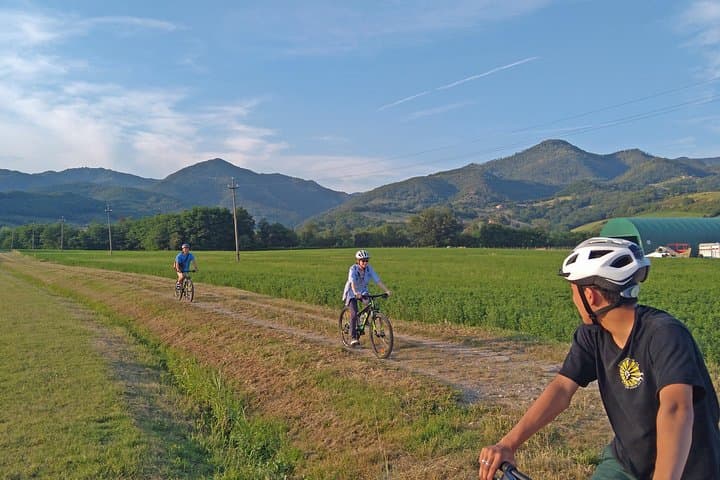 Tuscan Countryside Bike Tour & Saffron Food Tasting Near Florence photo 2