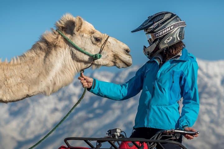 Agafay Desert Camel & Quad Biking Half-Day Tour from Marrakech