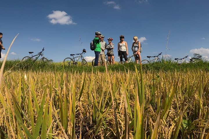 Explore Ubud by Electric Bike: Tegallalang Rice Terraces & Village Ride