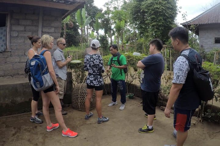 Explore Ubud by Electric Bike: Tegallalang Rice Terraces & Village Ride photo 2
