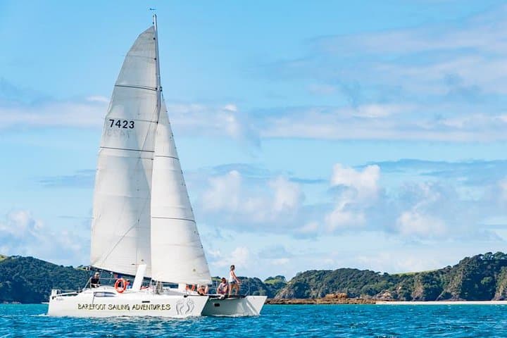 Island Hopper Day Cruise: Bay of Islands Sailing to a Wildlife Sanctuary (Paihia)