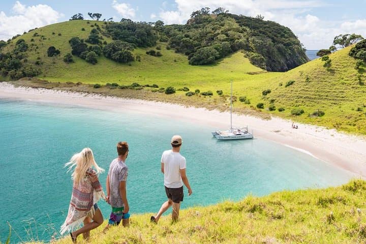 Island Hopper Day Cruise: Bay of Islands Sailing to a Wildlife Sanctuary (Paihia) photo 2