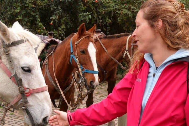 Ecuador Luxury Haciendas: 8-Day Highlands Tour from Quito