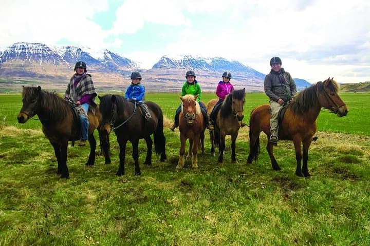 Family-Friendly Horseback Ride Along the Svartá — Skagafjörður's One-Hour Icelandic Horse Experience