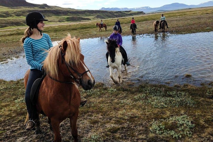 Skagafjordur Private 3-Hour Icelandic Horseback Riding Tour