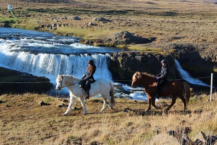 Skagafjordur Private 3-Hour Icelandic Horseback Riding Tour photo 2