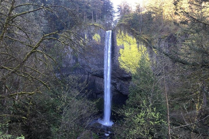 Columbia River Gorge Waterfalls Tour from Portland — Half-Day Small-Group photo 2