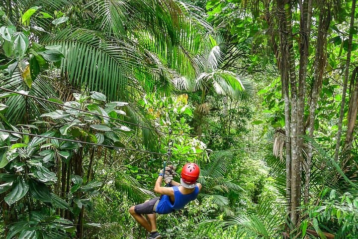 Private Mindo Cloud Forest Adventure: Day Tour from Quito photo 2