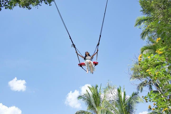 Tukad Cepung Waterfall, Bali Swing & Pengelipuran Village Day Tour photo 1