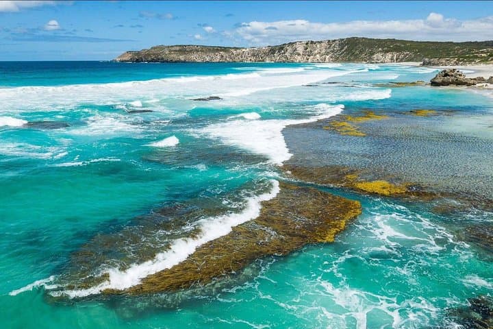 Kangaroo Island Shore Excursion: Lavender, Gin & Coastal Tastings from Penneshaw photo 2