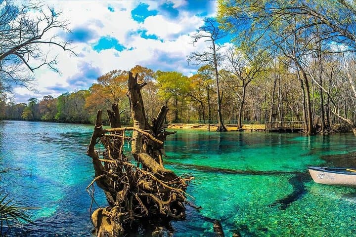 Cypress Springs Eco Adventure: Kayak, SUP & Snorkel the Cold Springs near Panama City Beach photo 2