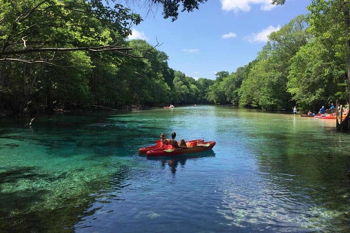 Cypress Springs Eco Adventure: Kayak, SUP & Snorkel the Cold Springs near Panama City Beach photo 3