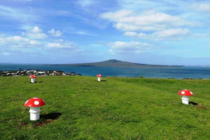 Segway to Mt Victoria Summit: Guided Devonport Tour with 360° Views of Auckland & the Hauraki Gulf photo 2