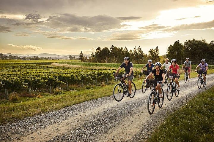 Cycle the Marlborough Wine Trail: Self-Guided Full-Day Bike and Tasting Tour photo 1