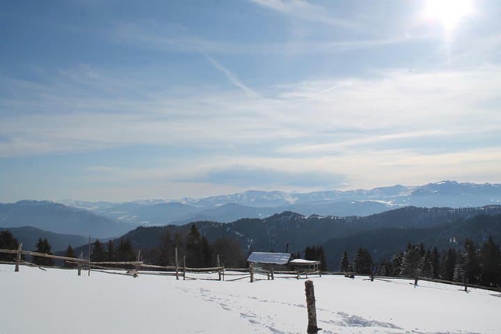 Winter Snowshoeing: 2-Day Snow Shoes Trail in Borjomi-Kharagauli National Park photo 2