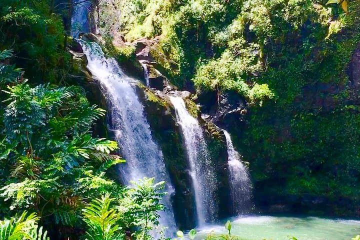 Private Road to Hana Tour: Local-Led East Maui Adventure Through Rainforest, Waterfalls & Coast photo 3