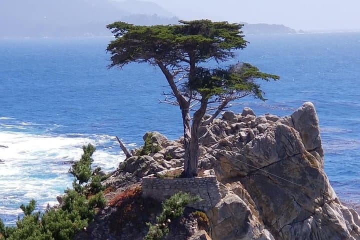 Exploring California’s Coastal Gems: Monterey, Carmel, and 17-Mile Drive Private Tour