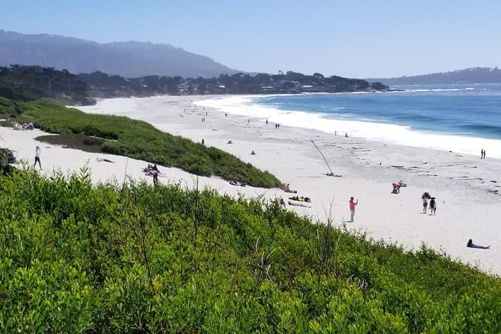 Exploring California’s Coastal Gems: Monterey, Carmel, and 17-Mile Drive Private Tour photo 4