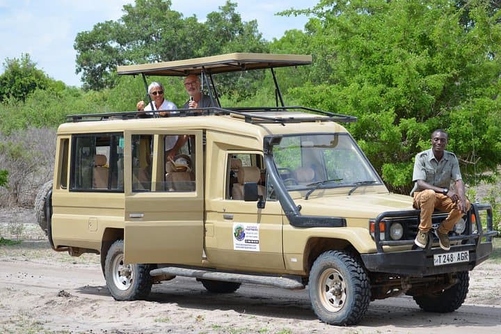 Three-Day Mikumi Safari from Zanzibar: Road Trip, Camping & Full-Day Game Drives